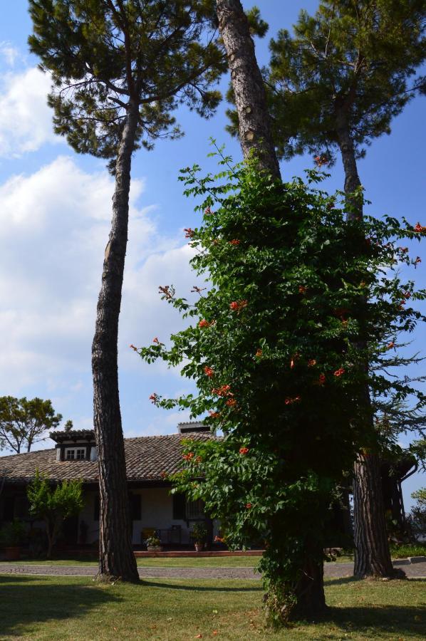 B&B Villa Lupidi Corridonia Exterior foto