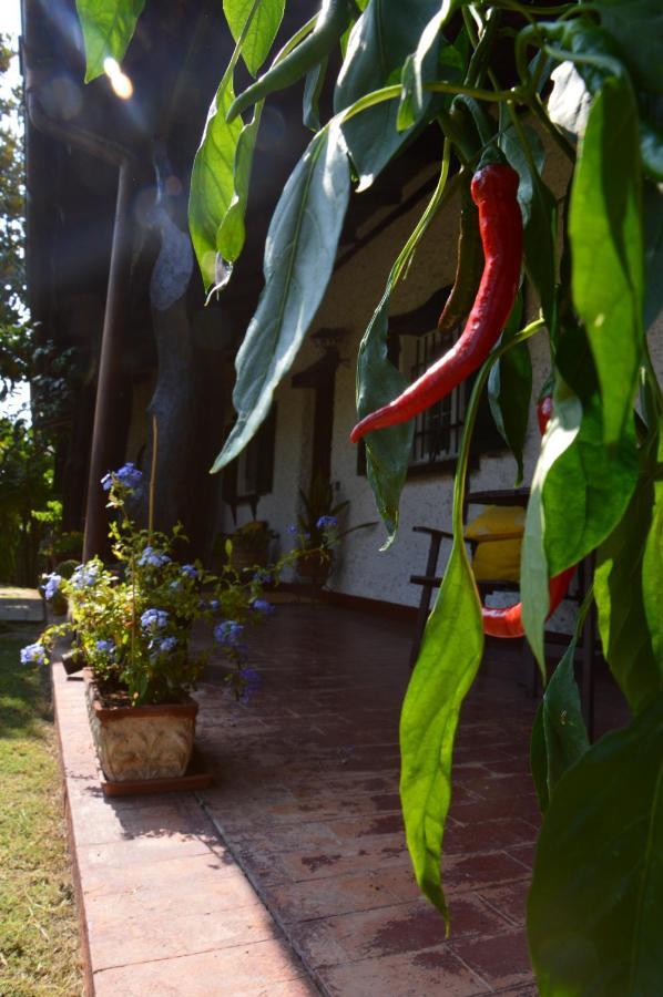 B&B Villa Lupidi Corridonia Exterior foto