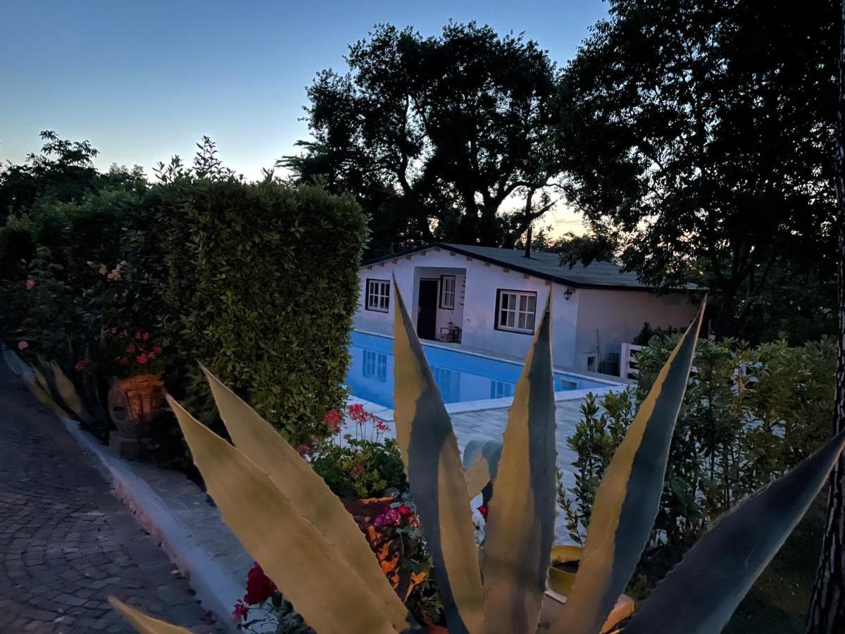 B&B Villa Lupidi Corridonia Exterior foto